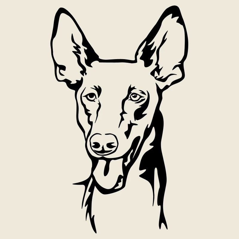 Pharaoh dog (Kelb-tal Fenek) head