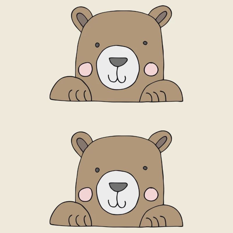 Ours dans un sac double