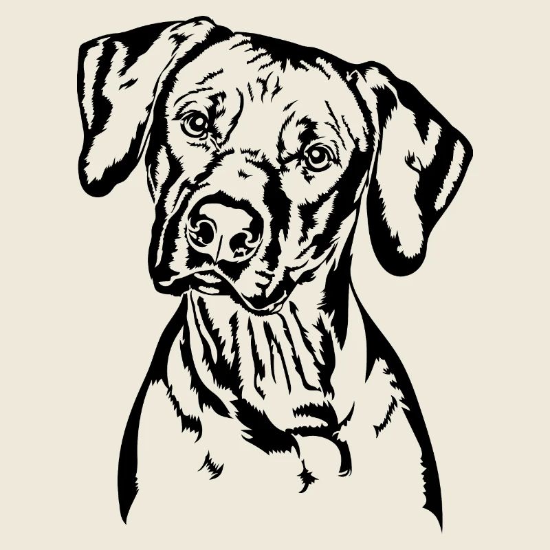 RHODESIAN RIDGEBACK Hunde Portrait Wilsigns