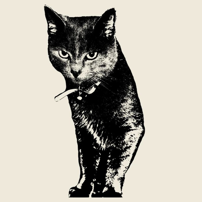Cat Cat Shirt Gift