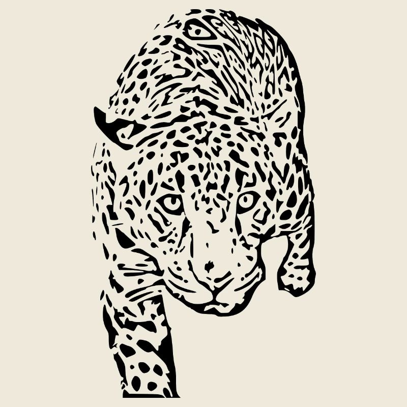 leopard schwarz schwarzer Leopard