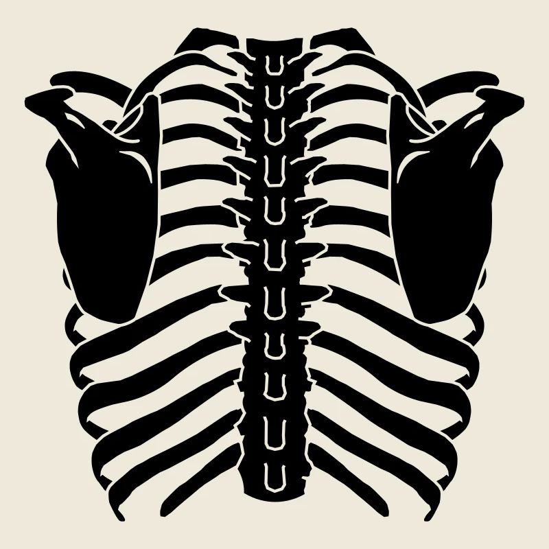 Ribcage (Back side)