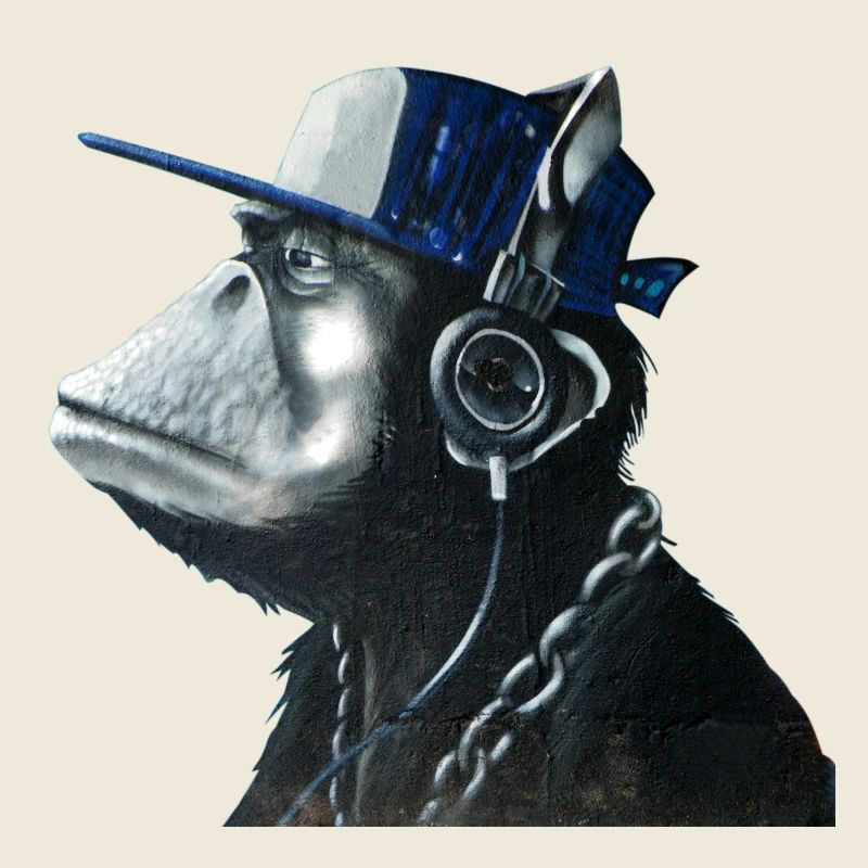 Monkey graffiti by CustomStyle