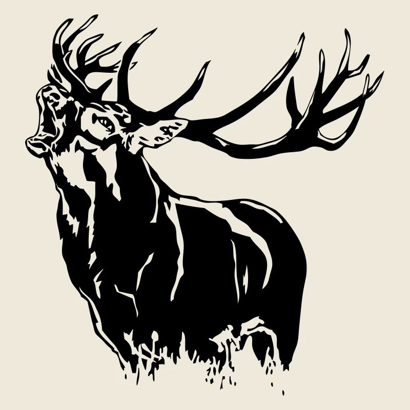 Deer - Hirsch