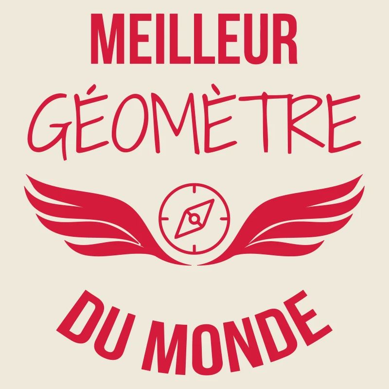 Surveyor / Vermesser / Géomètre / Topographer