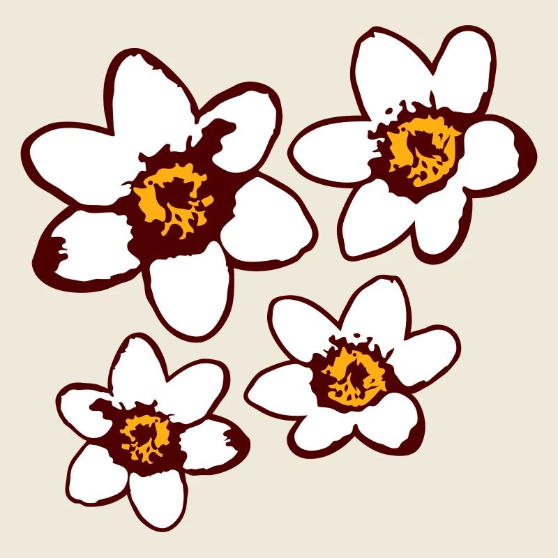 4 Marguerites Blanches Fleurs Printemps Été Fleurs
