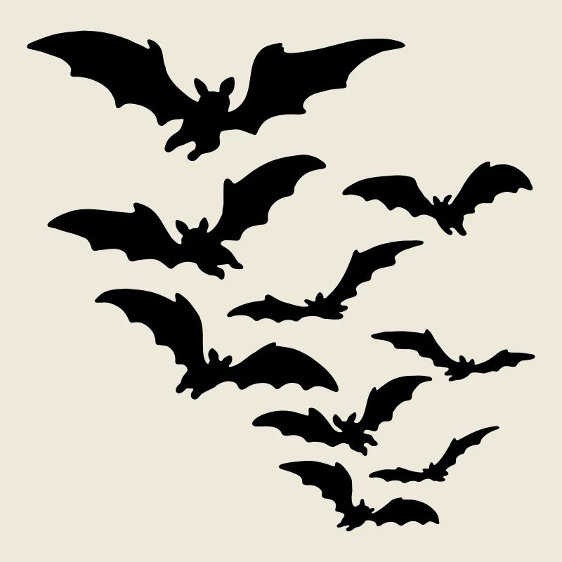 fledermaus