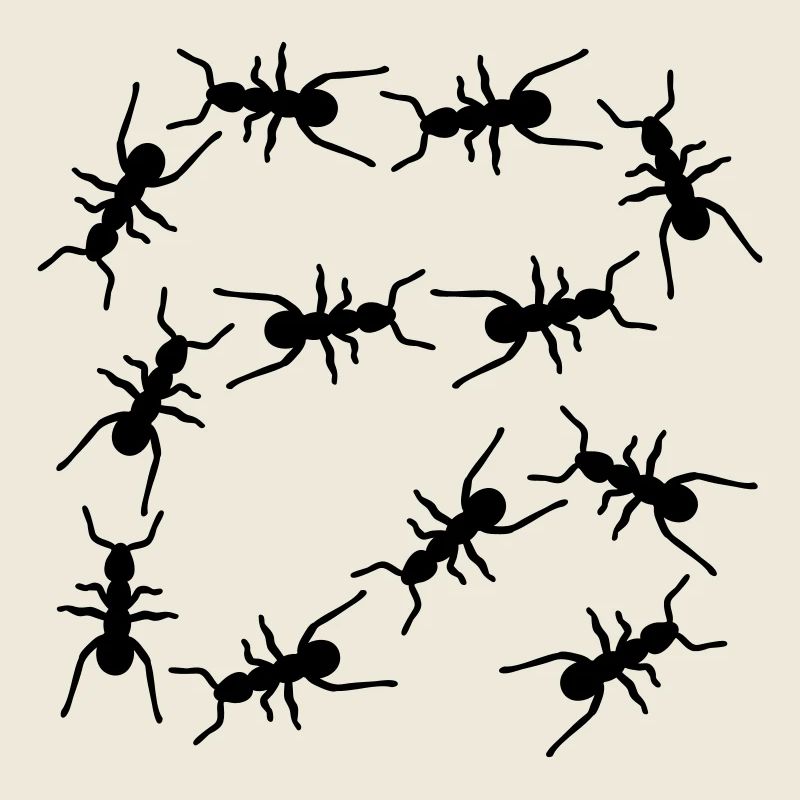 Fourmis