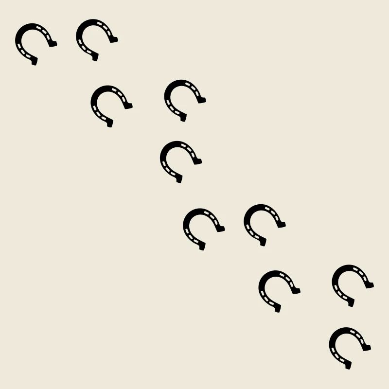 bourrin fer à cheval