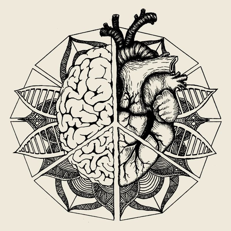 peace, brain & heart