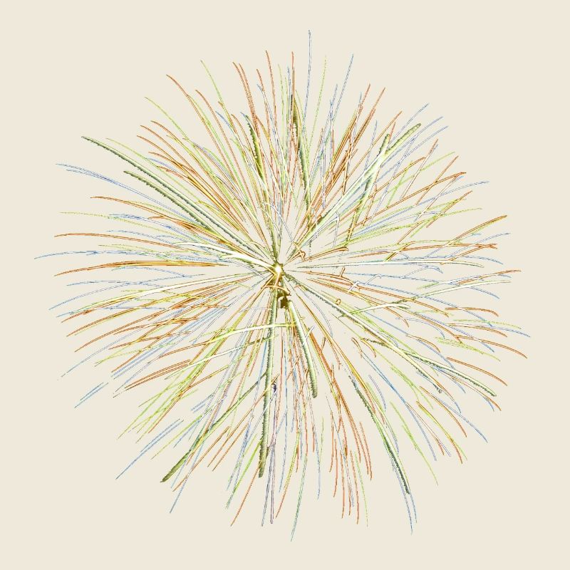 Feu d’artifice - Fireworks (multicolor)