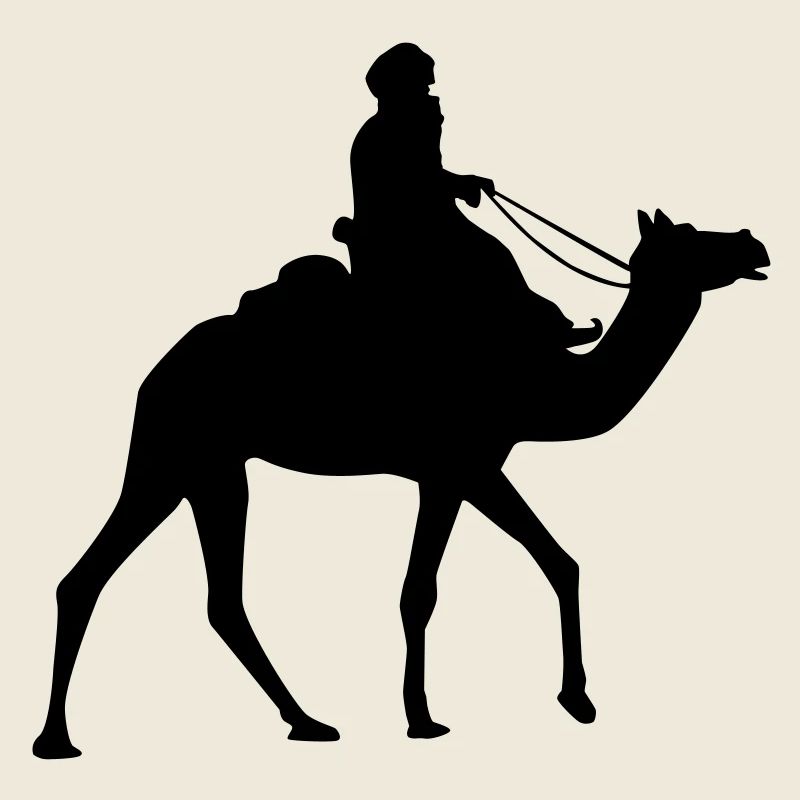 Beduine - Wüstendurchquerung