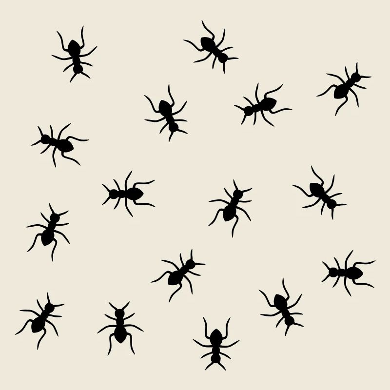 Ants Design