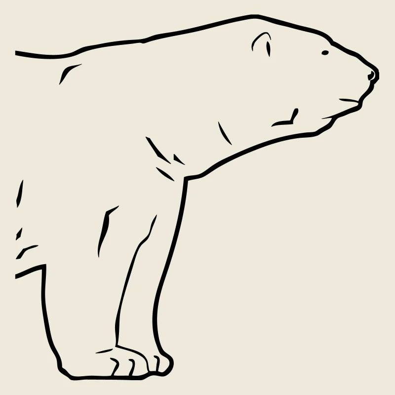 Polar Bear - Eisbär
