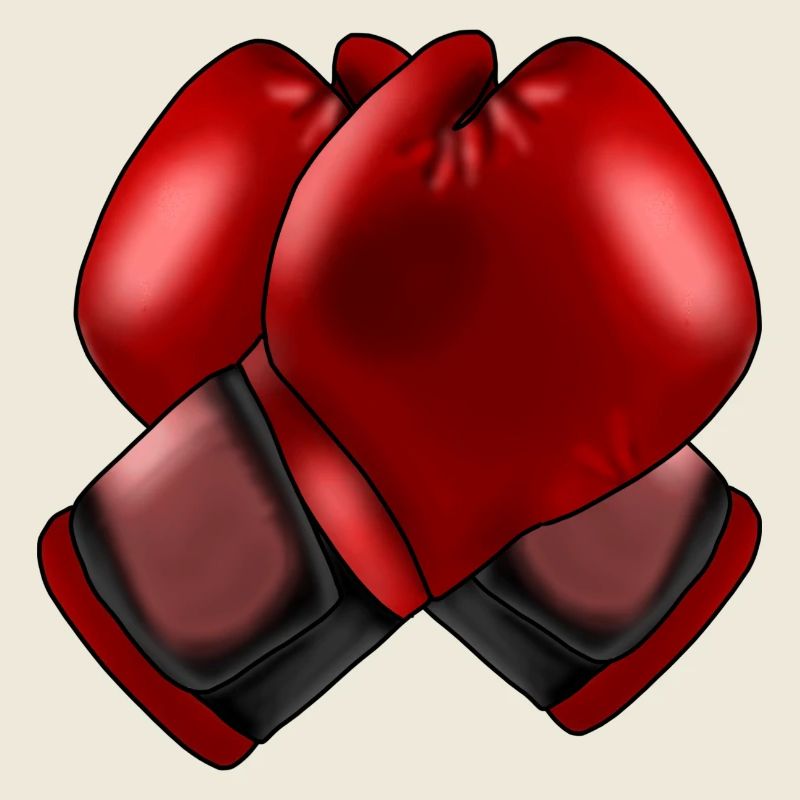 Boxhandschuhe 4
