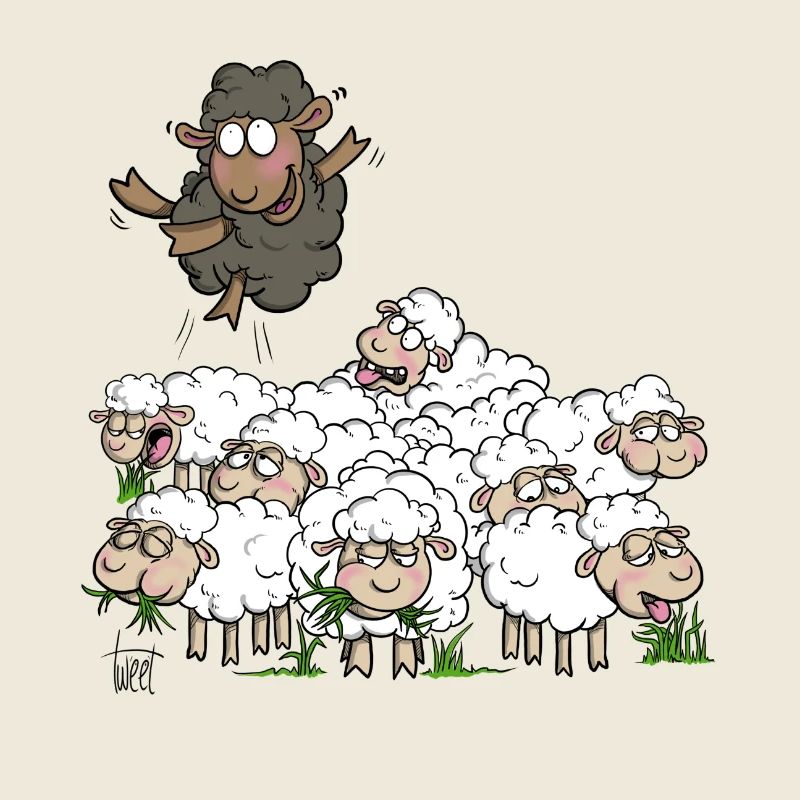 Black Sheep