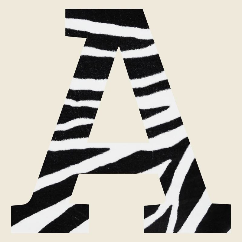 Letter to zebra