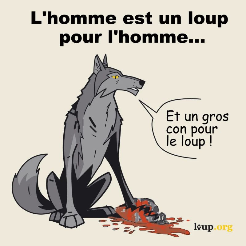 wolfman