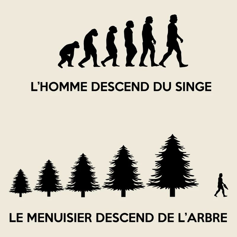 Evolution du menuisier