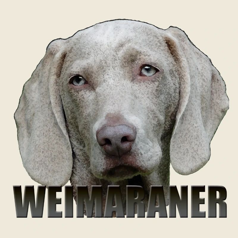 Braque de Weimar