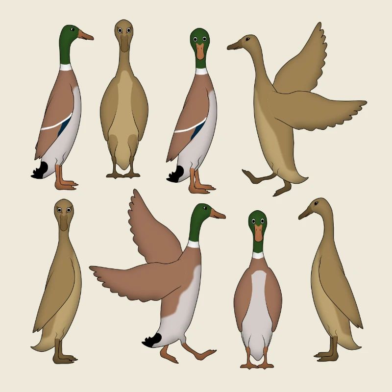 Running duck selection