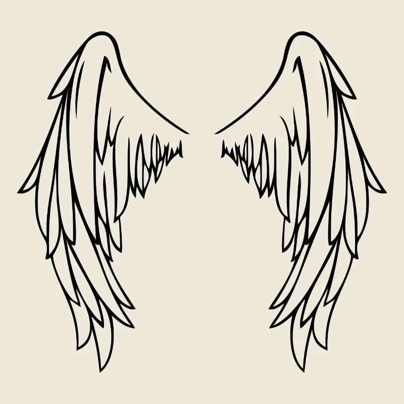 Ailes De