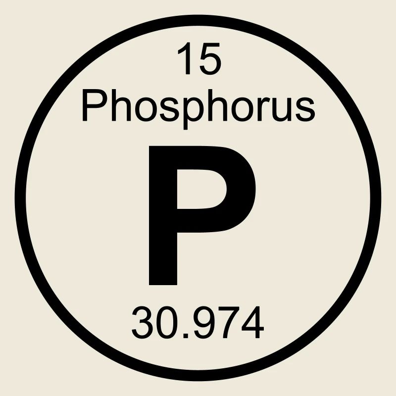 Element 15 - p (phosphorus) - Full (round)