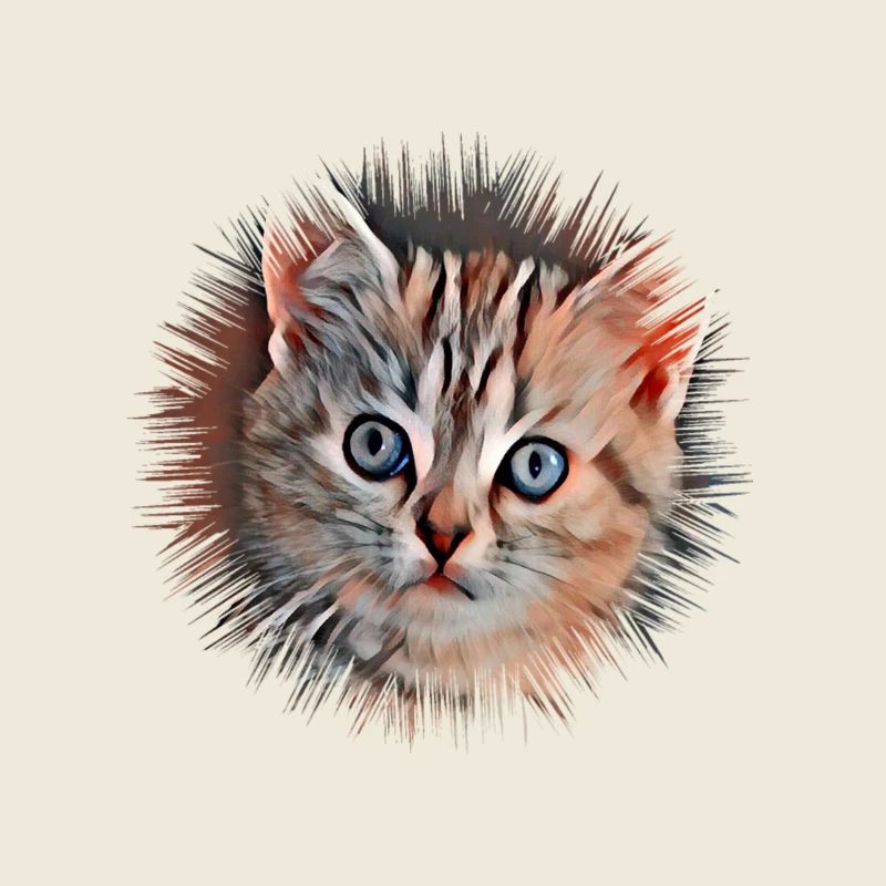 Chat