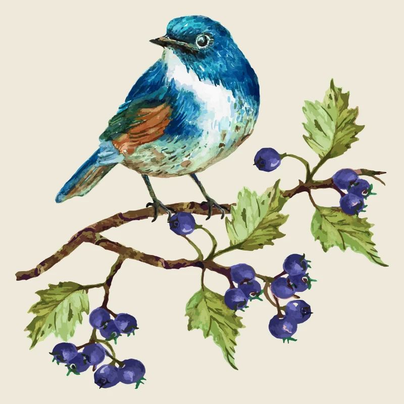 Oiseau coloré