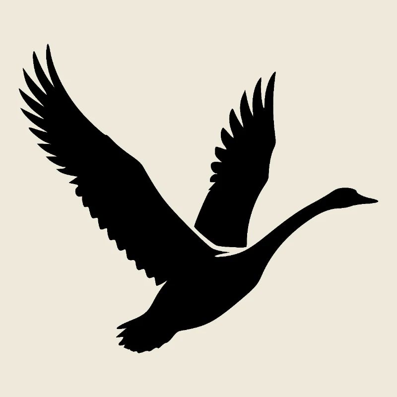 Elegant Flying Swan