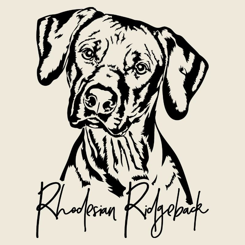 RHODESIAN RIDGEBACK Hunde Portrait Wilsigns