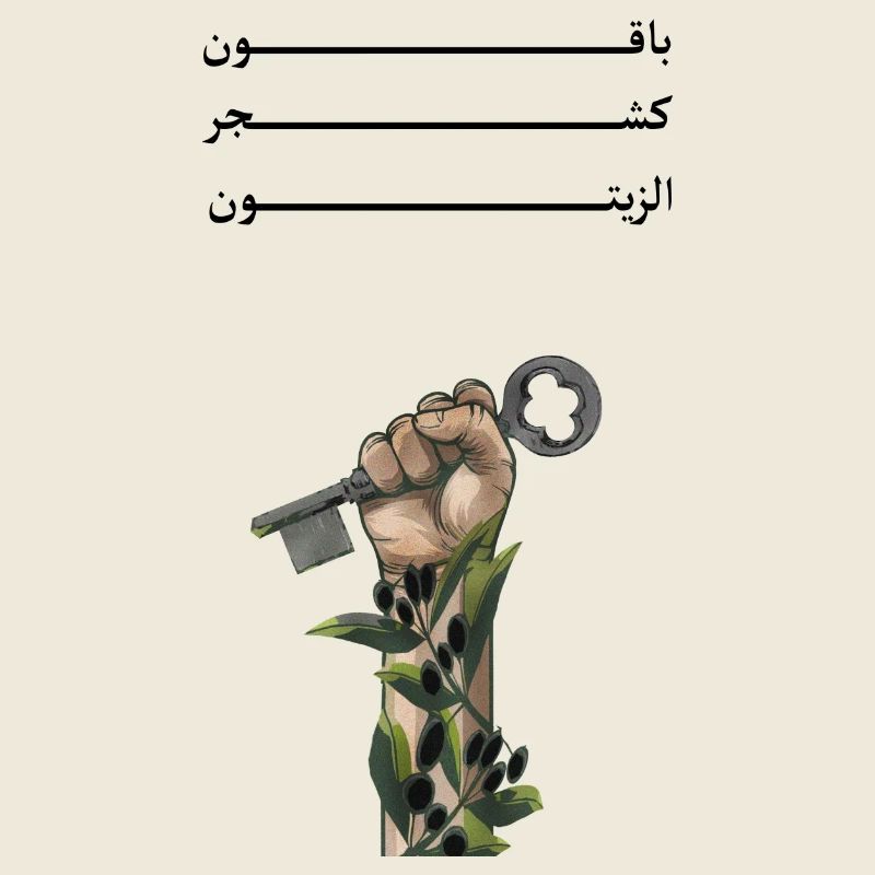 Solid like Oliven trees