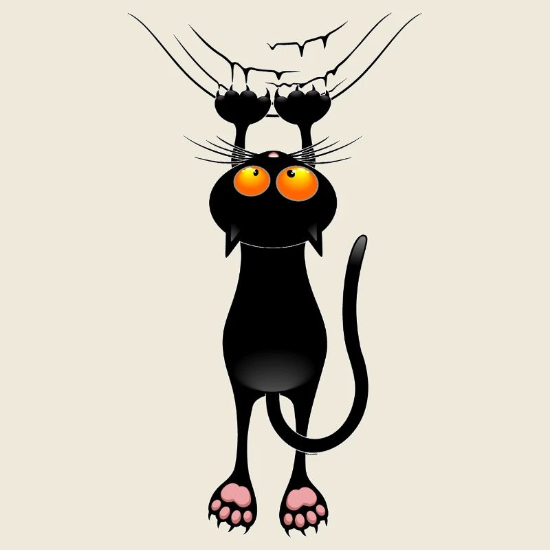 Funny Cat Meme Hanging on Fabric Curtain