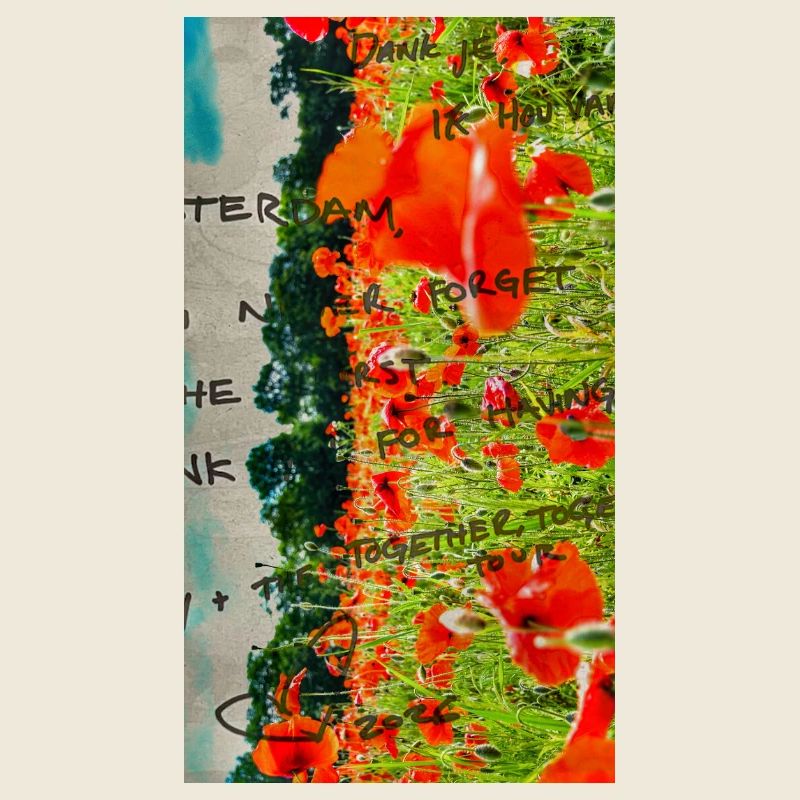 Mohnblumen auf dem Feld mit handgeschriebenem Text
