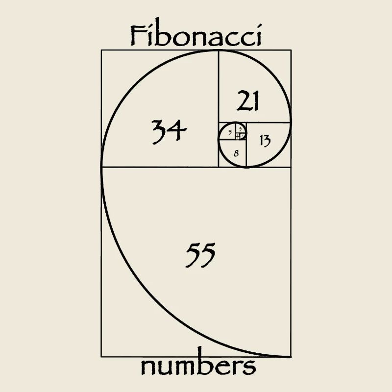Fibonacci-Zahlen