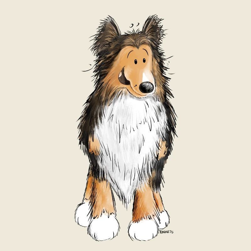 Petit Sheltie I Shelties I Chien Comique