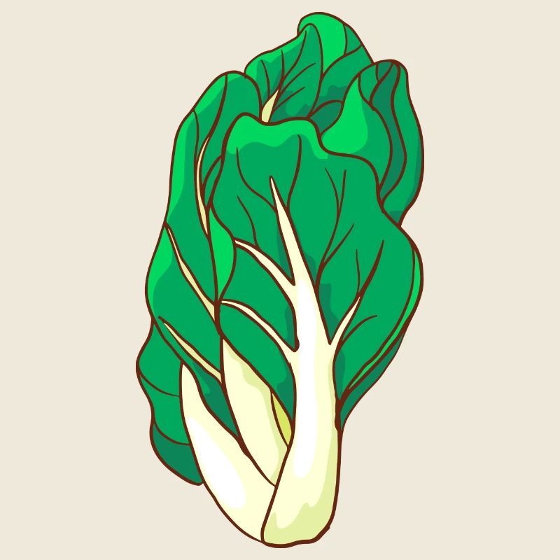 Mangold herb stem salad