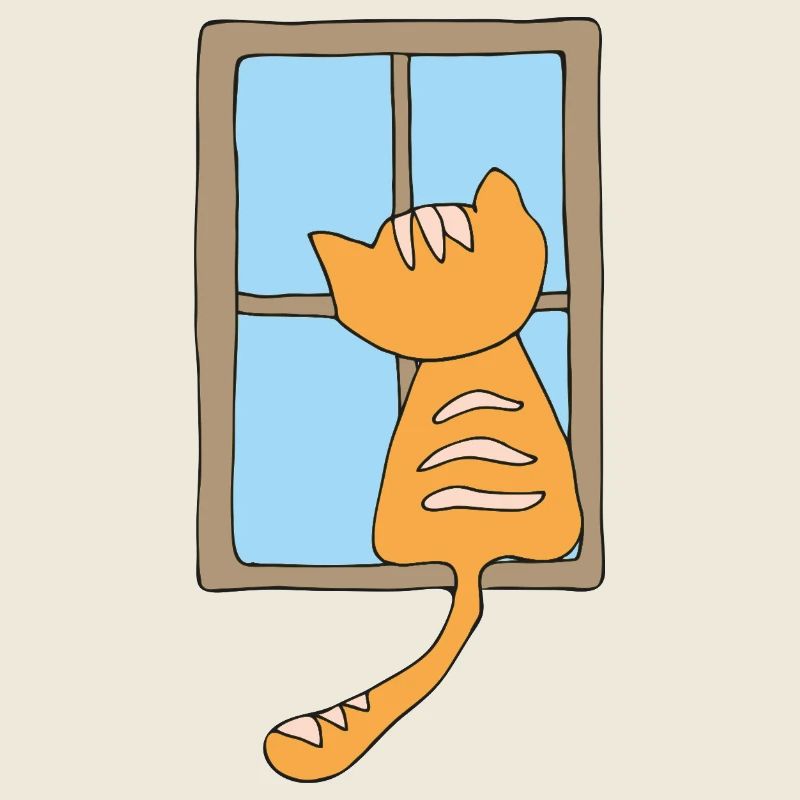 Cat at the window
