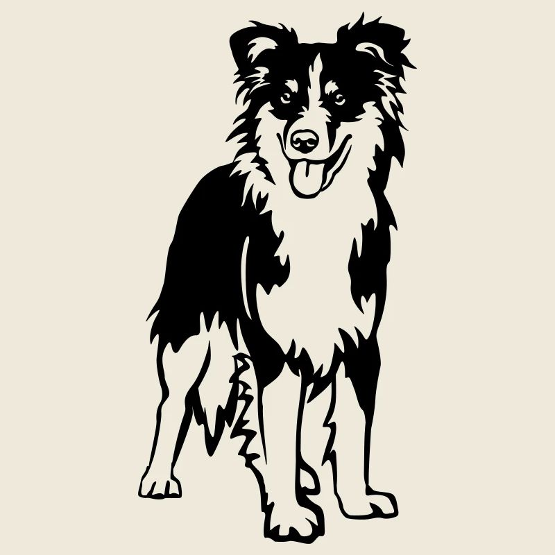 Australian Shepherd