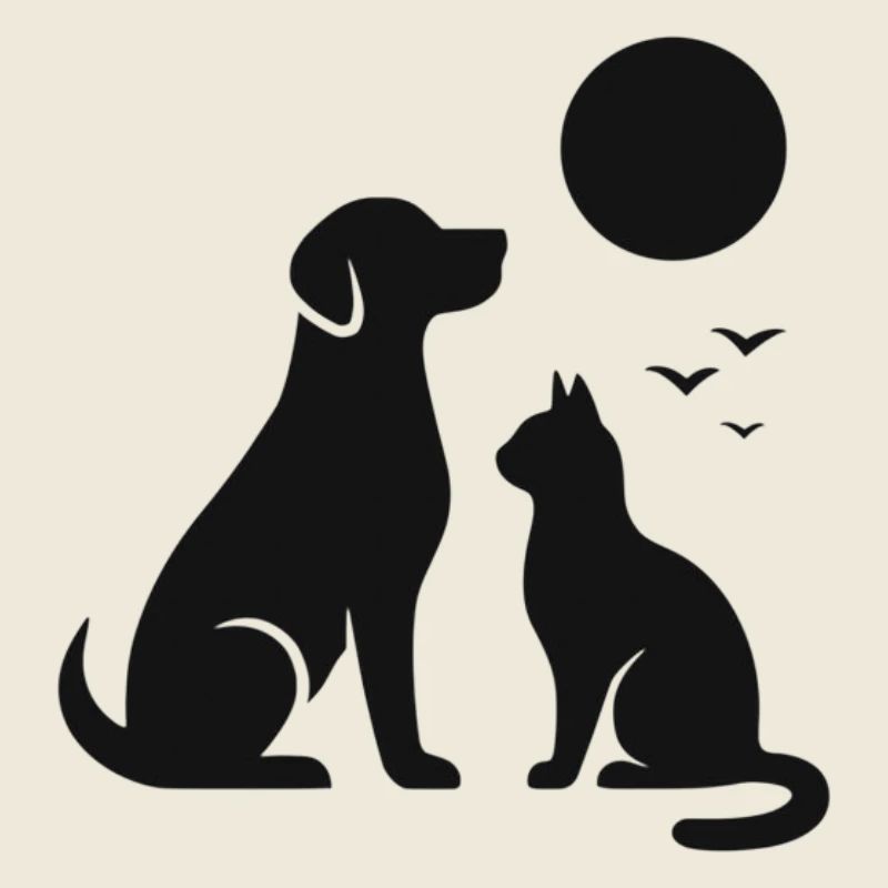 Moonlit Night Dog Cat Silhouette