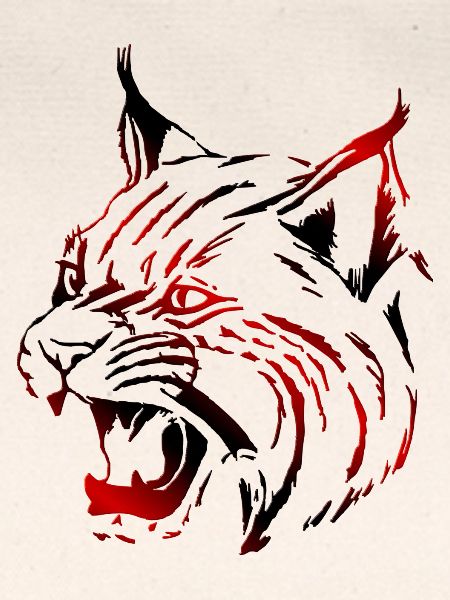 Luchs (03)
