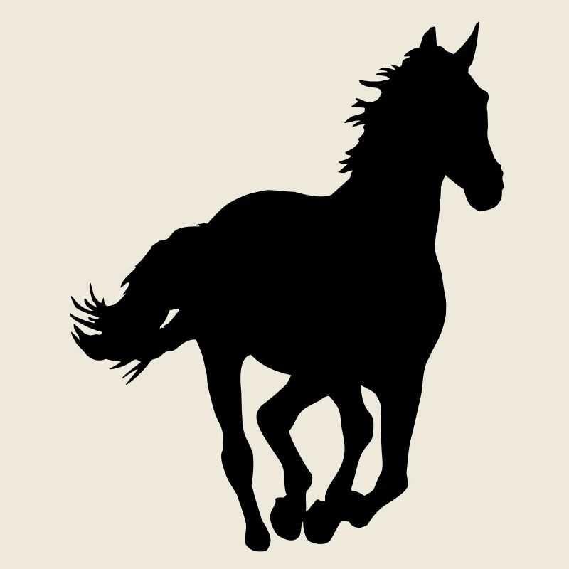 Un cheval