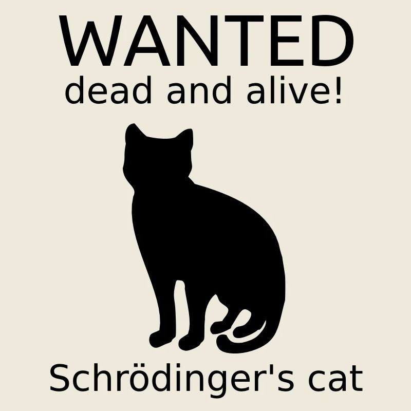 Chat de Schrödinger