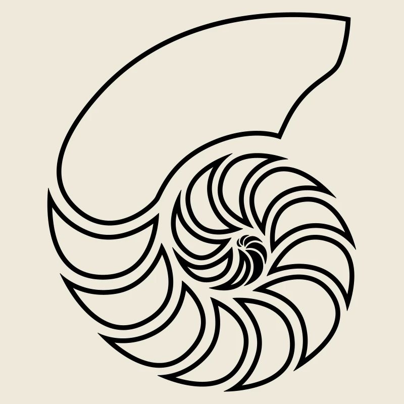 Nautilus Spirale Shell