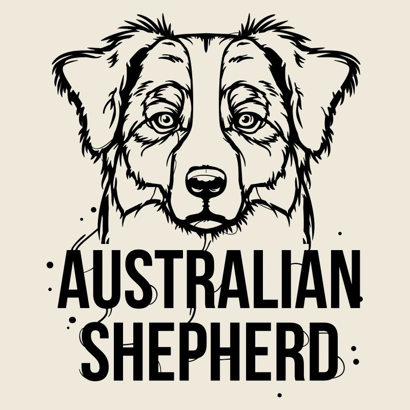 Australian Shepherd