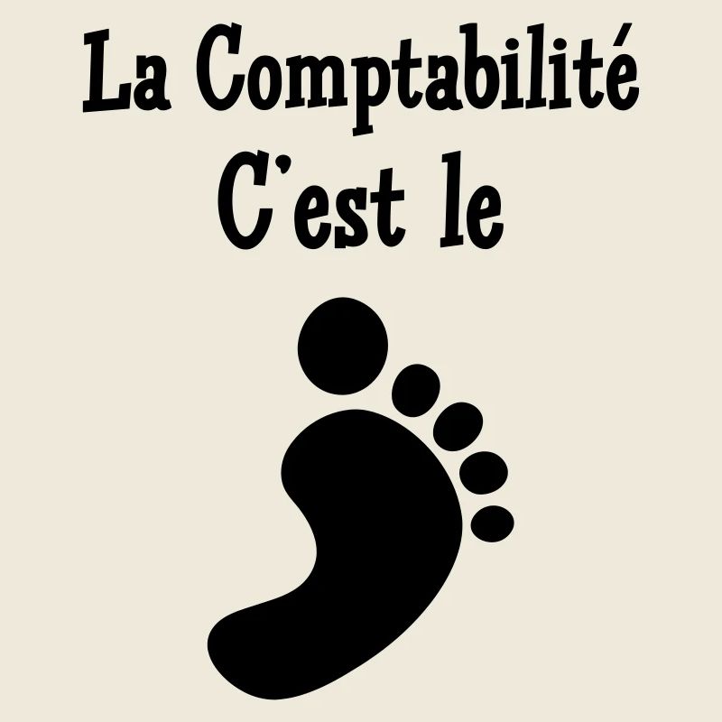 comptable / comptabilité / argent / Finance / Euro