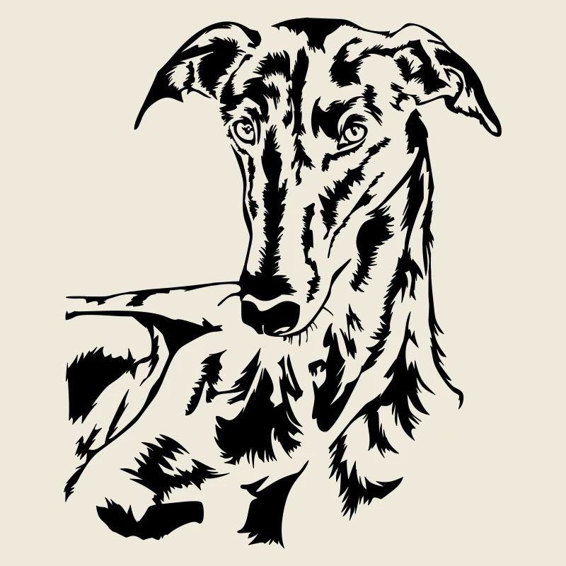 Galgo Kopf