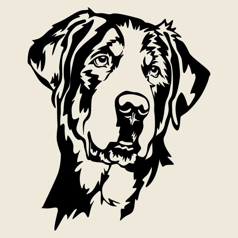 Großer Schweizer Sennenhund Kopf