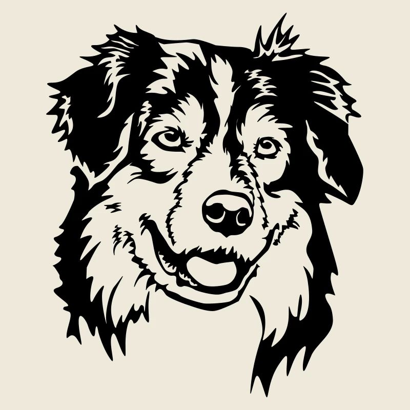 Australian Shepherd Kopf