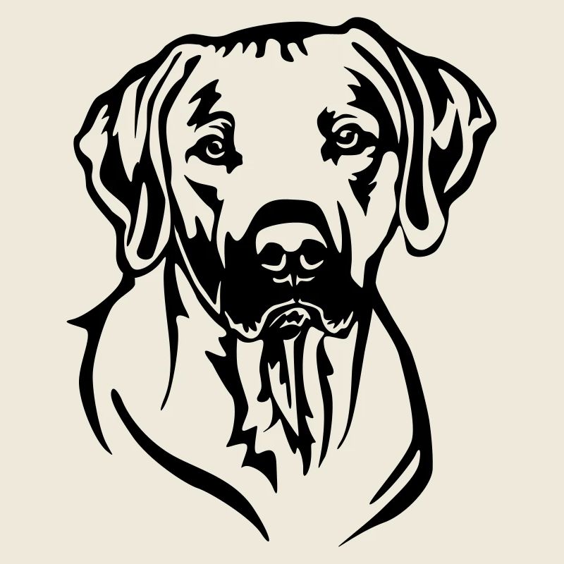 Rhodesian Ridgeback Head